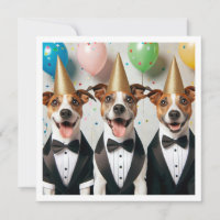 Helfen Sie unserem kleinen Gentleman, unserem Hund