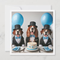Helfen Sie unserem kleinen Gentleman, unserem Hund