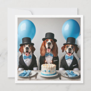 Helfen Sie unserem kleinen Gentleman, unserem Hund Einladung