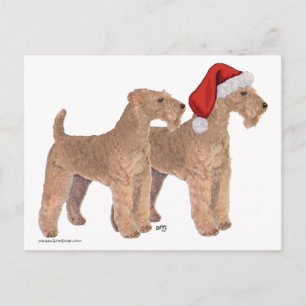 Helfer des Weihnachtsmanns Feiertagspostkarte