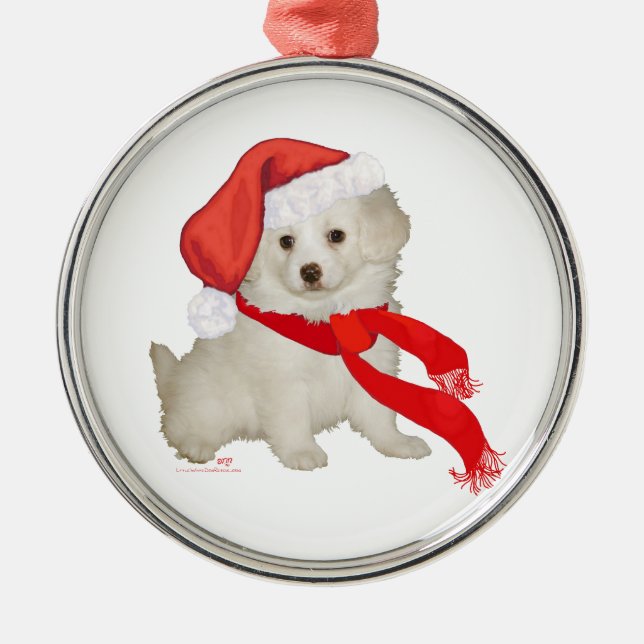 Helfer-Puppy-Poodle / Bichon-Mix Silbernes Ornament (Vorne)