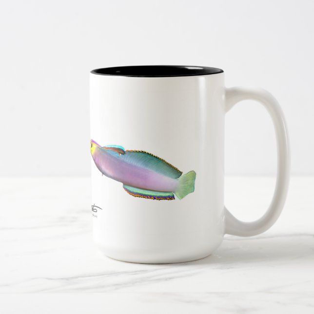 Helfrichs Dartfish, Nemateleotris helfrichi Zweifarbige Tasse (Rechts)