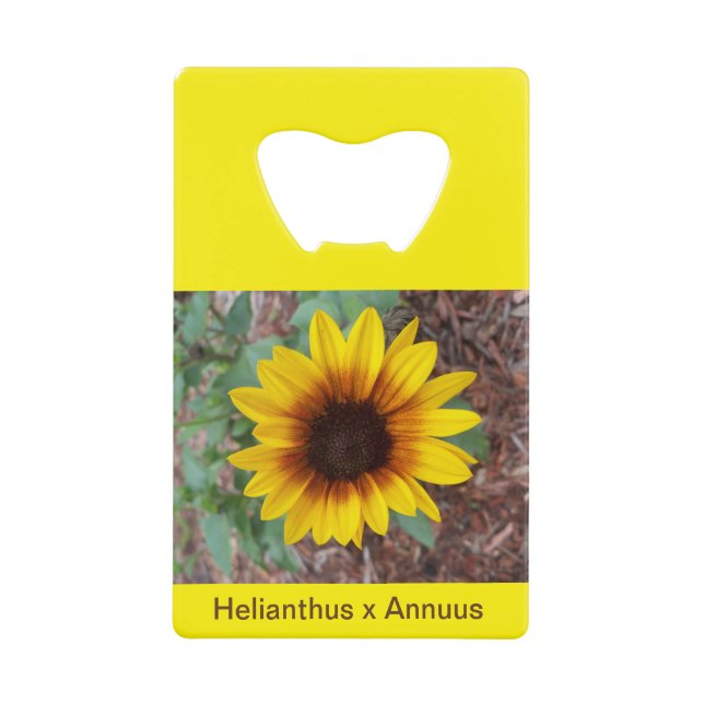 Helianthus Annuus Flaschenöffner (Vorderseite)