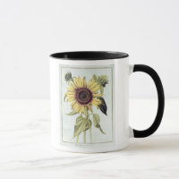 Helianthus Annuus von 'Velins du Roi Vol.36'