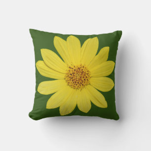 Helianthus 'Lemon Queen' Sonnenblume (abgeschieden Kissen