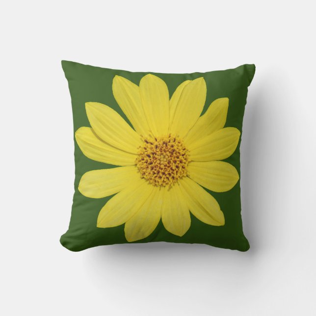 Helianthus 'Lemon Queen' Sonnenblume (abgeschieden Kissen (Vorderseite)