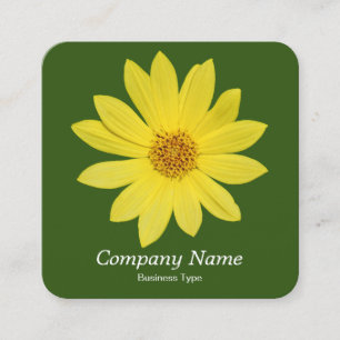 Helianthus 'Lemon Queen' Sonnenblume - Forest Gree Quadratische Visitenkarte