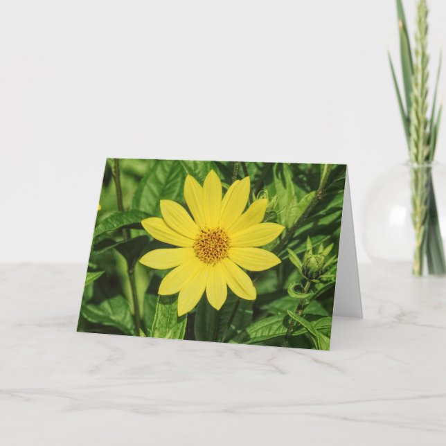 Helianthus 'Lemon Queen' Sonnenblume Karte (Vorderseite)