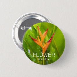 Heliconia Blume Design der Pflanze Button