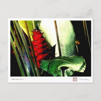 Heliconia Nr. 1 Postkarte