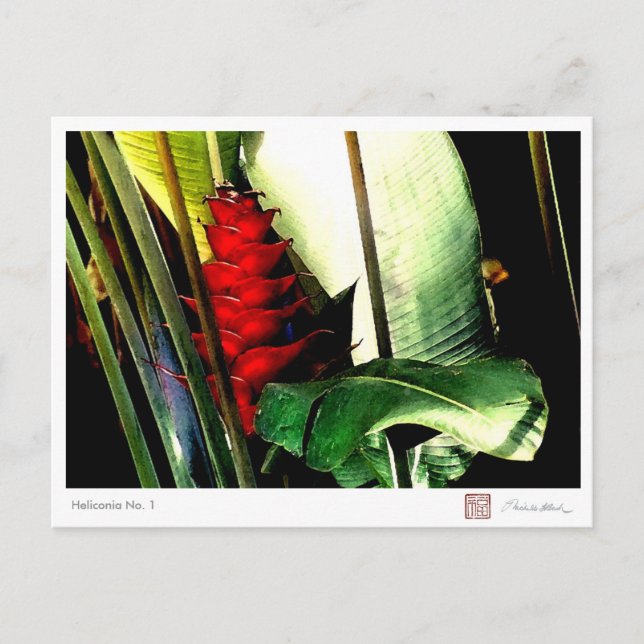 Heliconia Nr. 1 Postkarte (Vorderseite)