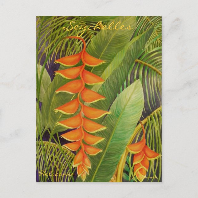 Heliconia Postkarte (Vorderseite)