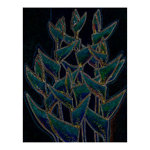 Heliconia Rostrata Tropische Pflanze