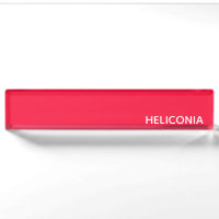 Heliconia roter Name