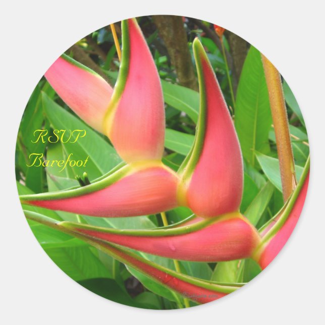 Heliconia UAWG Tropical Wedding Umschlag Aufkleber (Vorderseite)