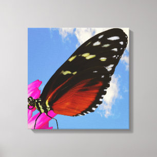 Heliconius-Hekatschmetterling auf einem rosa Dahli Leinwanddruck
