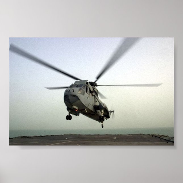 HELICOPTER LANDE POSTER (Vorne)