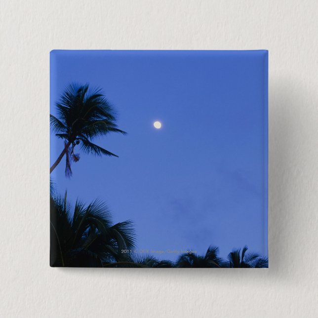 Hell beleuchteter Mond, Silhouette der Button (Vorderseite)