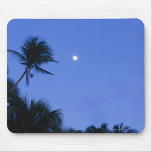 Hell beleuchteter Mond, Silhouette der Mousepad