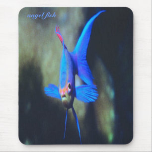 Hell-blau-Engel Fische, mousepad