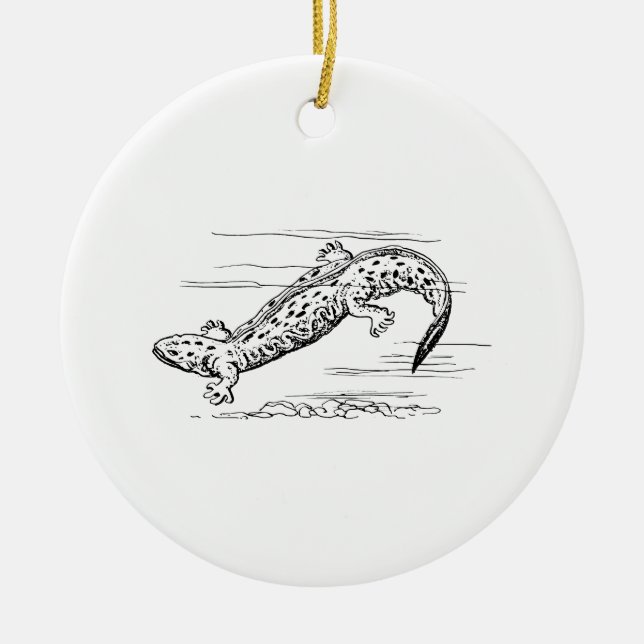 Hellbender Keramikornament (Vorne)