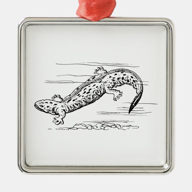 Hellbender Silbernes Ornament (Vorne)