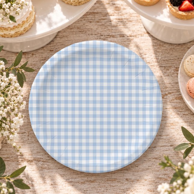 Hellblau Gingham Pappteller (Von Creator hochgeladen)