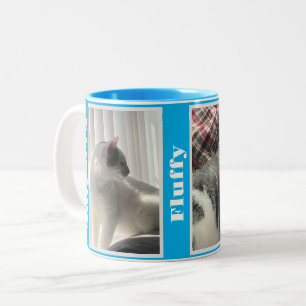 Hellblaue Haustierfotos und Namen Zweifarbige Tasse