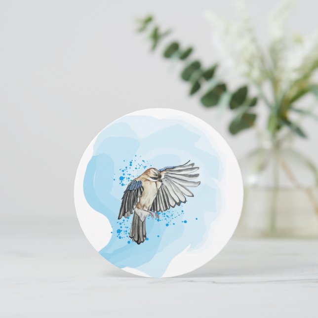 Hellblaue Jay (Stehend Vorderseite)