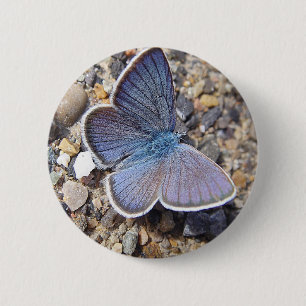 Hellblauer Schmetterling Button