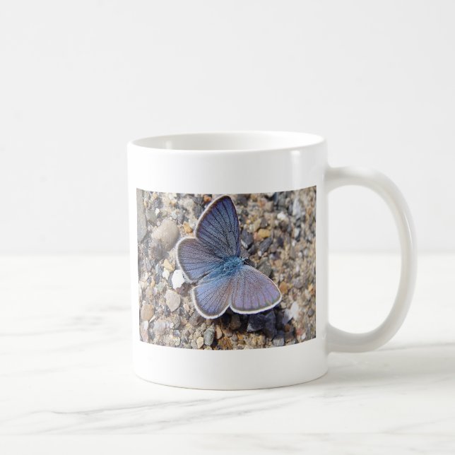 Hellblauer Schmetterling Kaffeetasse (Rechts)