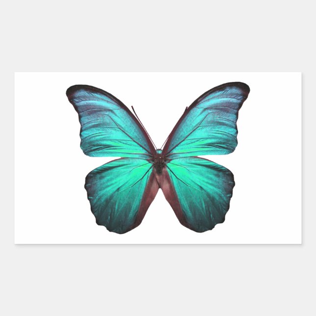 Helle Aquamarin Butterfly Rechteckiger Aufkleber (Vorderseite)