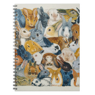 Helle Augen Notizblock