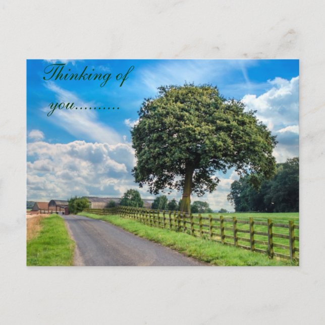 Helle Baum-Postkarte Postkarte (Vorderseite)