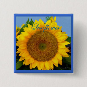 Helle blaue Sonnenblume Button