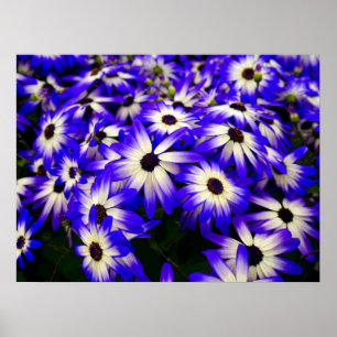 Helle blaue und weiße digitale Blume Poster