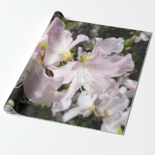 Helle Blume Geschenkpapier