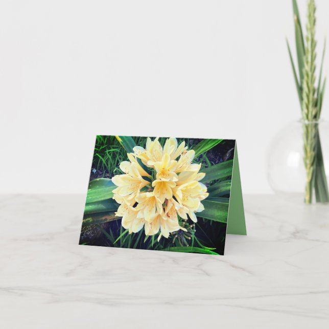 Helle Blumen Karte  (Vorderseite)