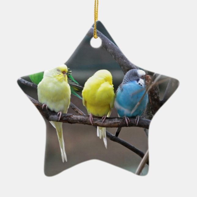 Helle bunte Parakeets Budgies plappert Vögel nach Keramikornament (Vorne)