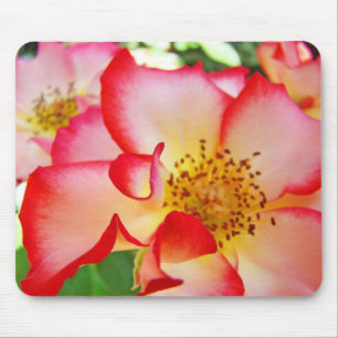 Helle farbenfrohe Rosen Blumen Natur Mauspad