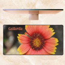 Helle Farbenspiel Gaillardia Blume Fotografie