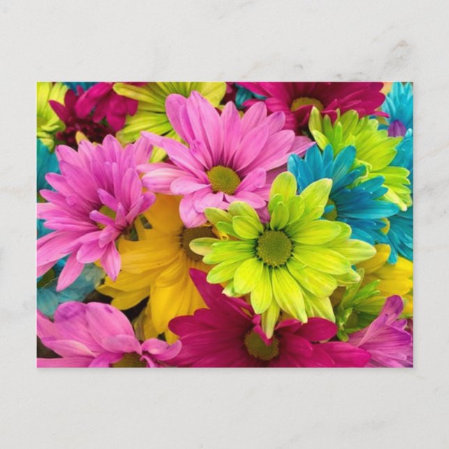 HELLE, FARBHAFTE BLUME FEIERTAGSPOSTKARTE (Vorderseite)