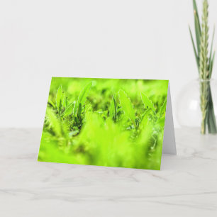 Helle fröhliche grüne Pflanzen Natur Grußkarte Karte