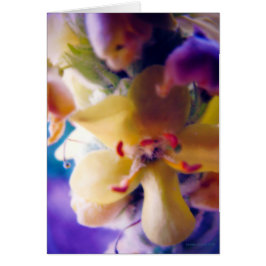 Helle FrühlingsBlume