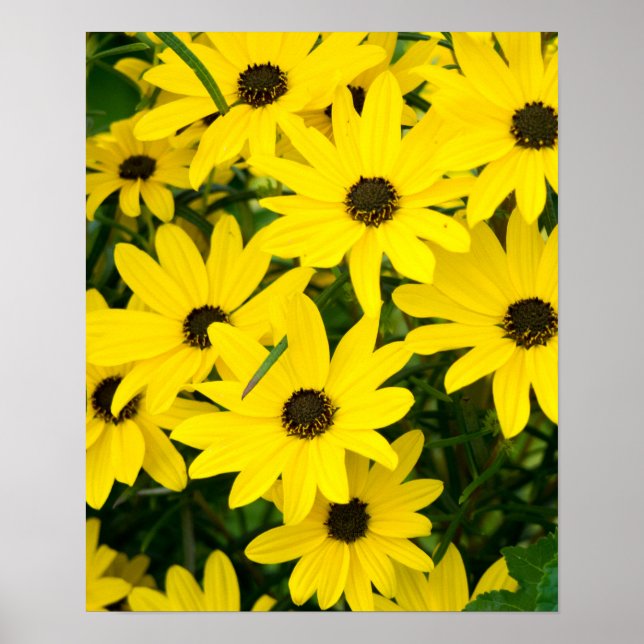 Helle gelbe Blumen Poster (Vorne)