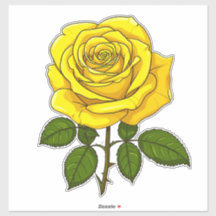 Helle gelbe Rose