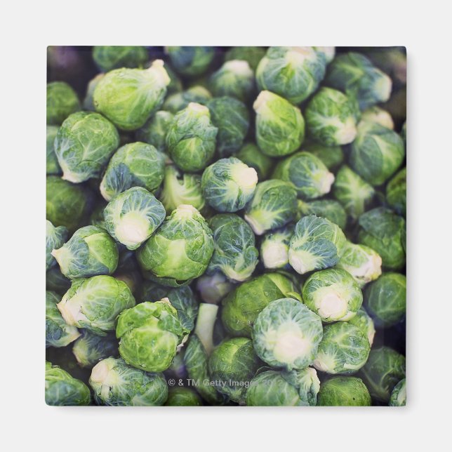 Helle grüne Fresh Brussels Sprossen Magnet (Vorne)