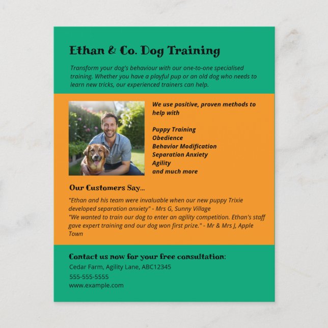 Helle grüne Orangenhundeausbildung Pet Services Flyer (Vorne)