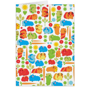 Helle Guinea Schweinepest