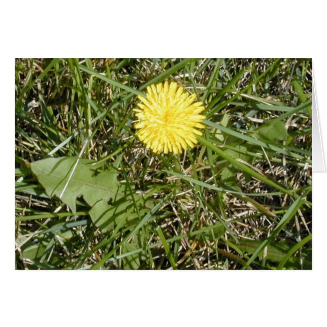 Helle Leuchterkarte (Vorderseite (Horizontal))